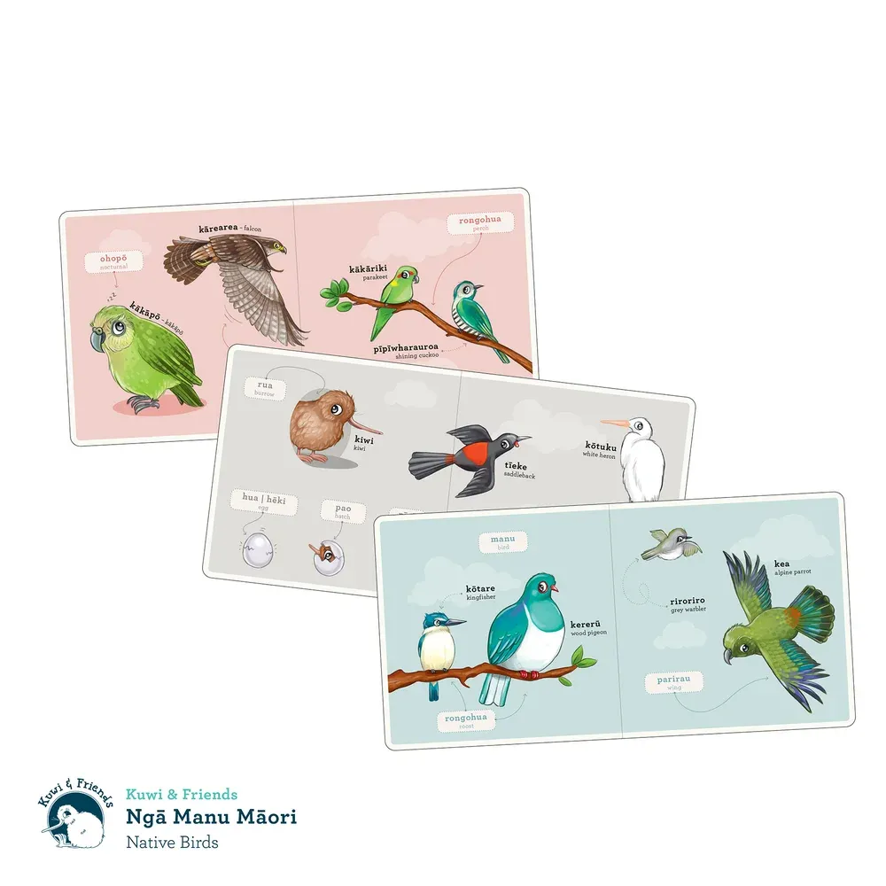 Kuwi & Friends - Ngā Manu Māori - Native Birds