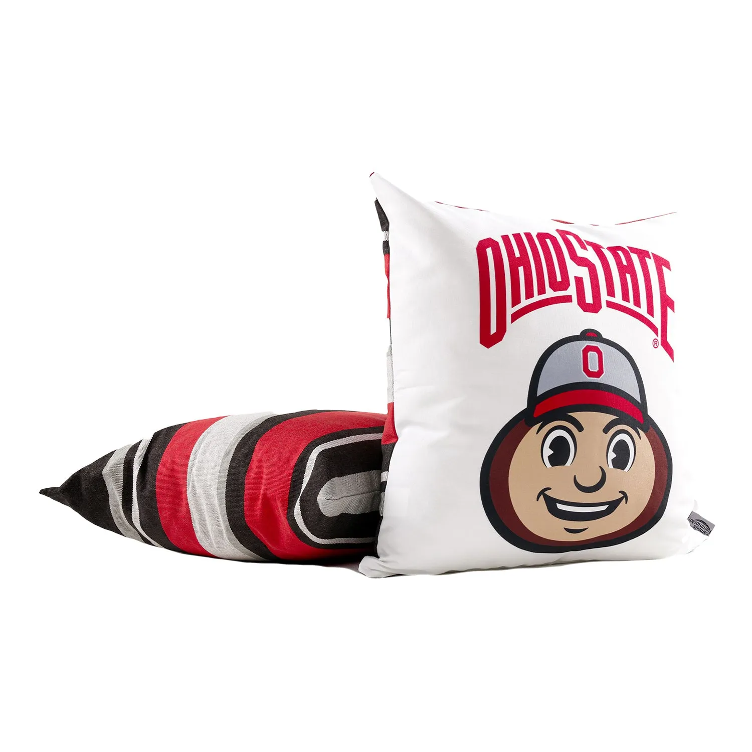 Ohio State Buckeyes Brutus Hanging Chair Swing