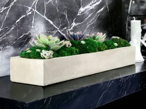 Preserved Moss in Concrete Rectangular Centerpiece